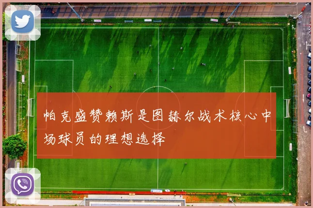 帕克盛赞赖斯是图赫尔战术核心中场球员的理想选择