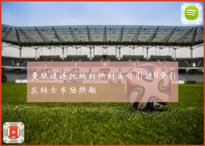 曼联追逐托纳利热刺高价引进M费引发转会市场热潮